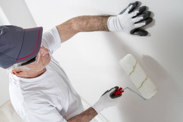Best Post-Construction Mold Inspection  in Centerville, IN