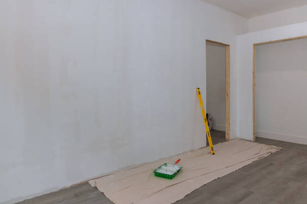 Best Black Mold Removal  in Centerville, IN