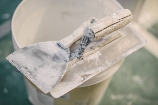 Best Mold-Related Health Consultation  in Centerville, IN