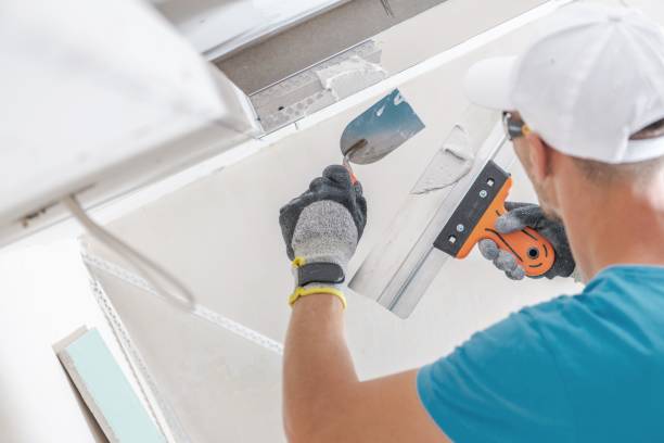 Best Mold Remediation for Healthcare Facilities  in Centerville, IN